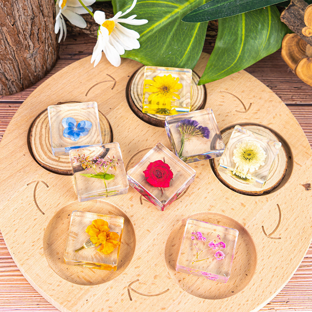 Insect Design Resin Square Shape Specimenteaching Toolamber Craft ...