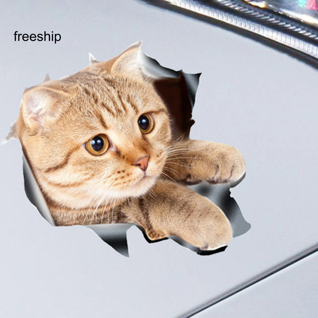 FSA-Creative 3D Effect Car Sticker Waterproof Non-fade PET Material ...