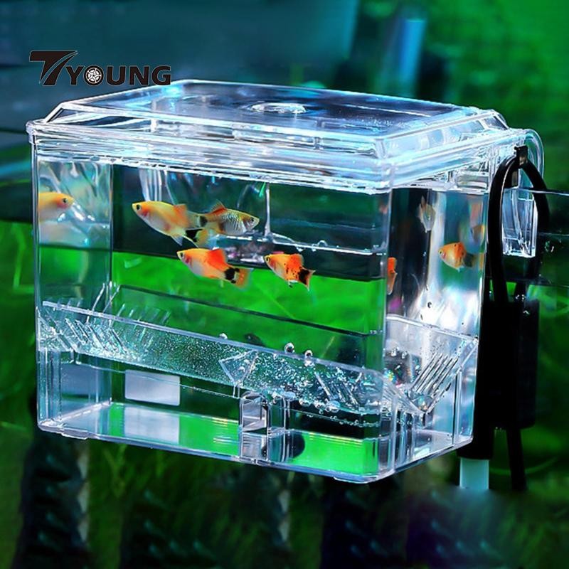 [Available] Breeding Multipurpose Hanging Hatching Box for | Shopee ...