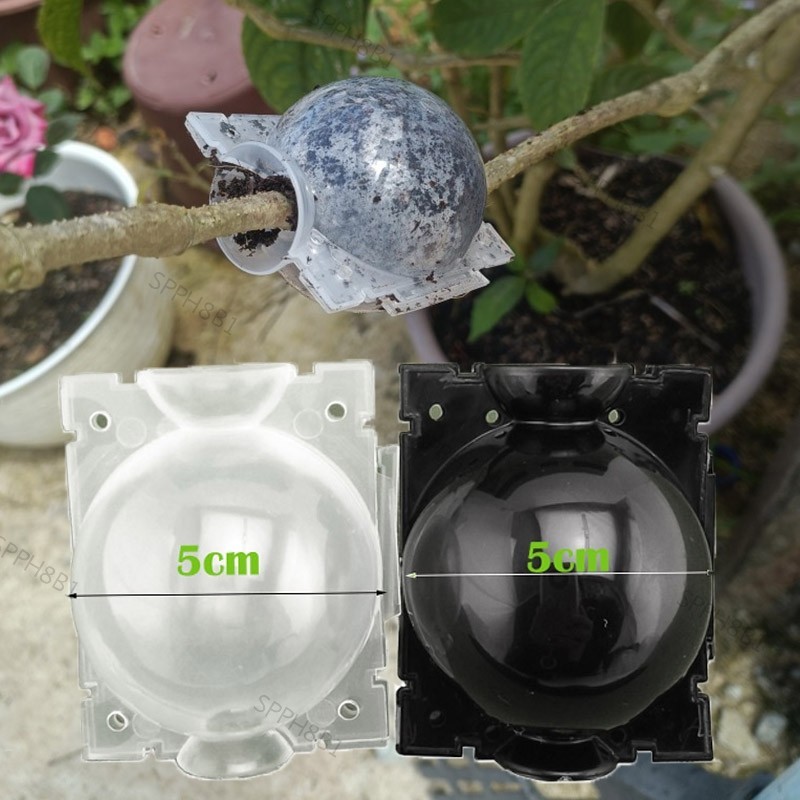 Transparent Ball Plant Rooting Growing Case Grafting Root Box Nursery ...