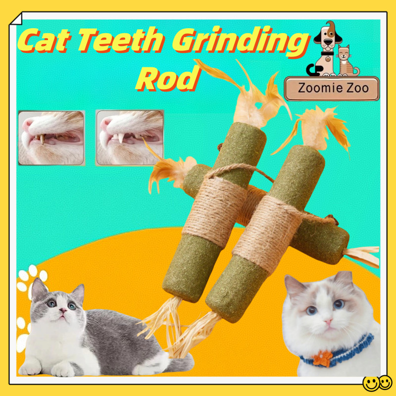 Cat Teeth Grinding Rod Oversized Natural Silvervine Molar Stick ...