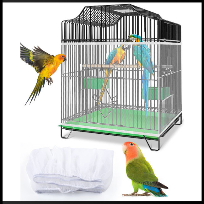 A closer look at Penetrate Parrot Cage Mesh