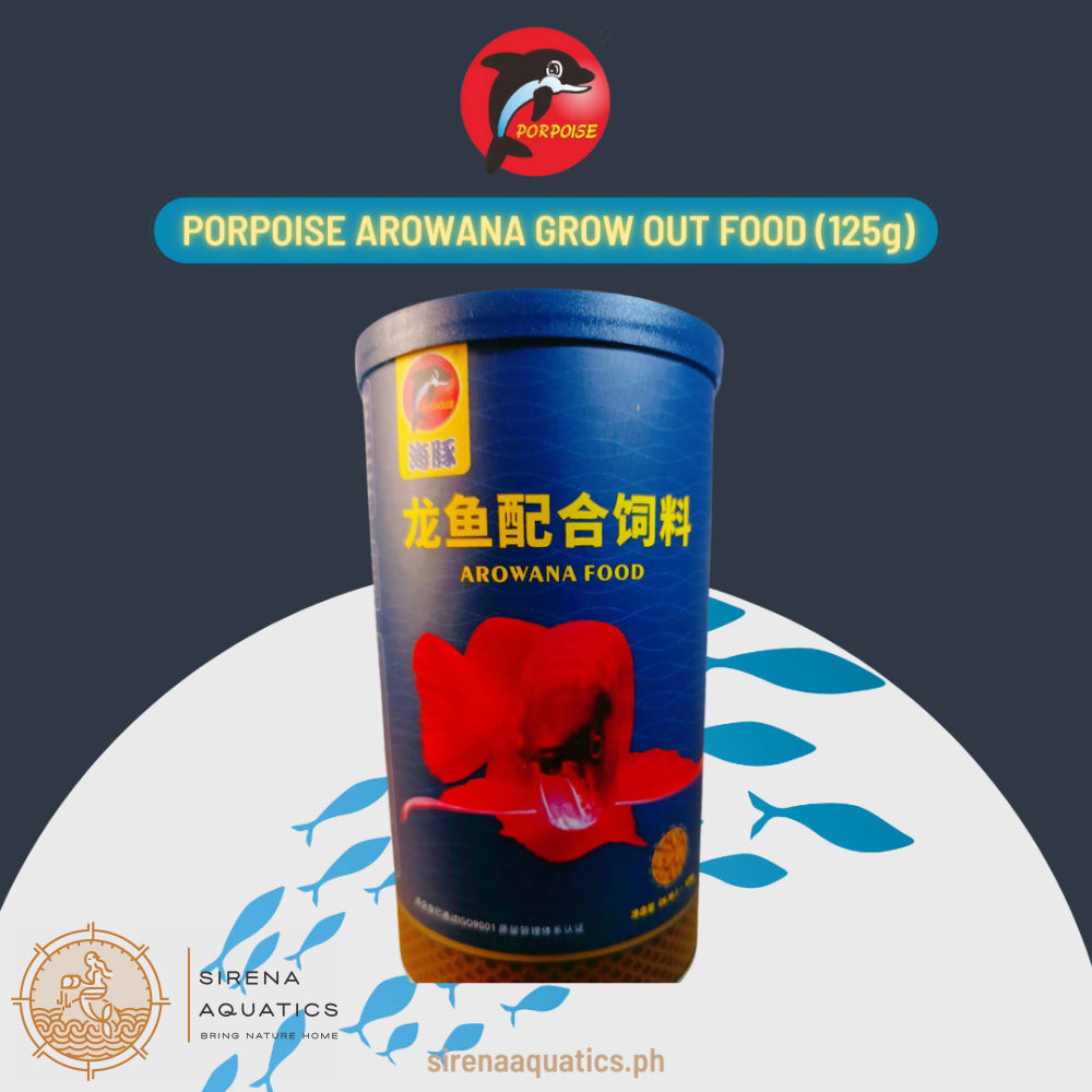 Porpoise Arowana Grow Out Food 125g - High Protein Diet for Rapid ...