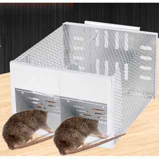 Double door mouse catcher, Humane Mouse Traps for Indoors That Work ...