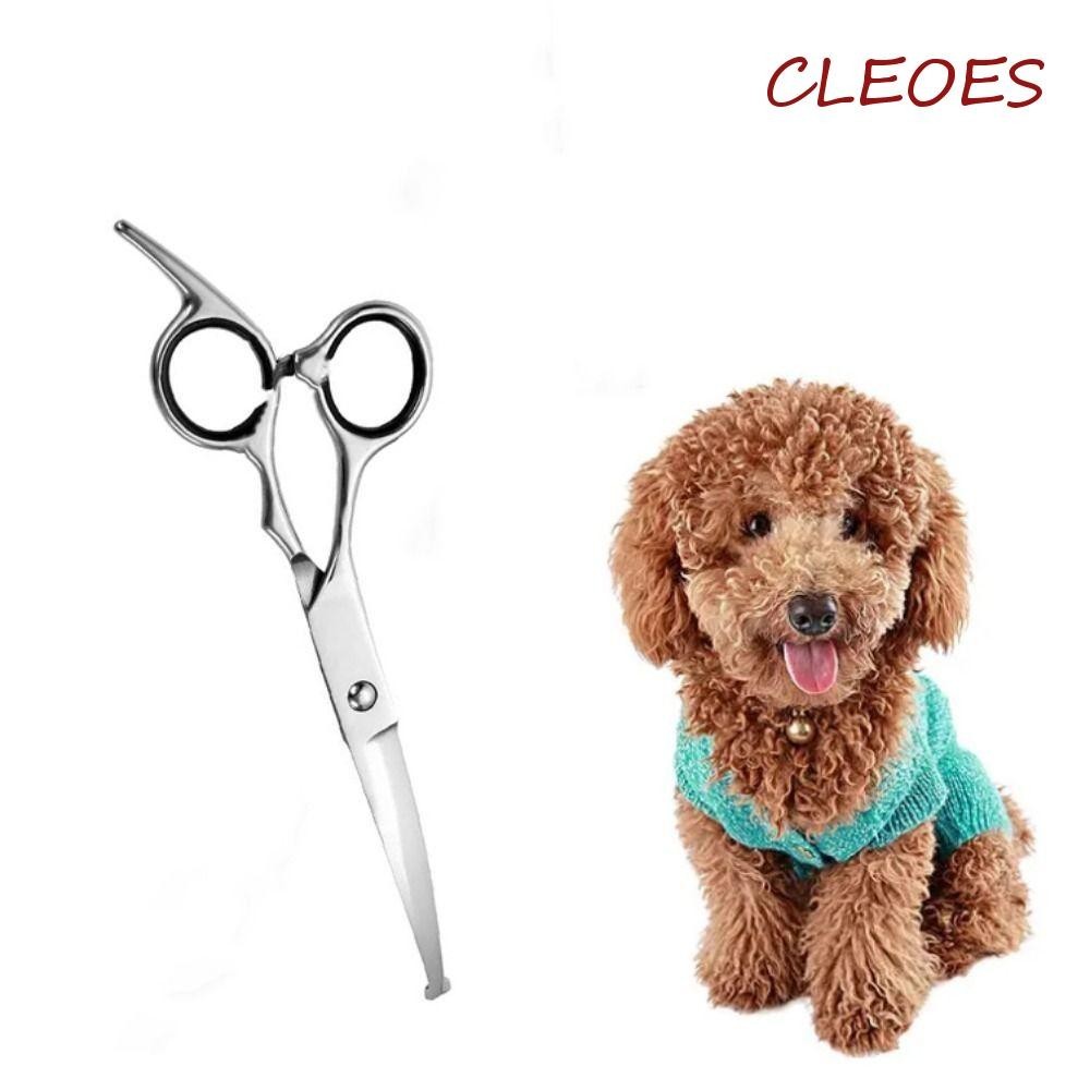 CLEOES Pet Grooming Shears, With Safety Round Tips Stainless Steel Dog ...