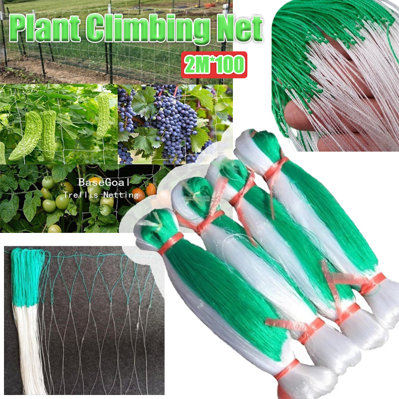 2Mx100M Garden Plant Climbing Net Trellis Net Support Nylon Mesh ...
