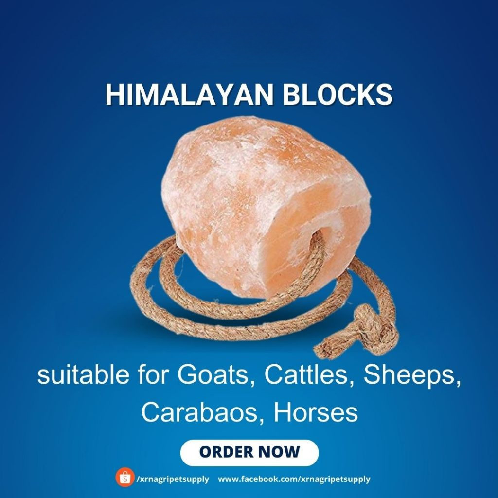 2kg-3kg Animal Himalayan Lick Salt Licking Salt Block Mineral Salt for ...