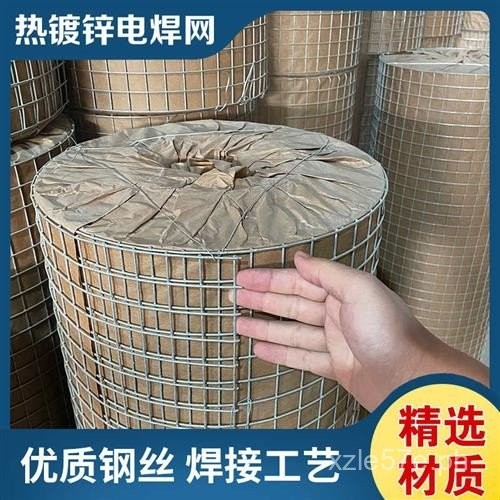 Hot-Dip Galvanized Wire Mesh Fence for Chickens, Ducks, and Geese ...