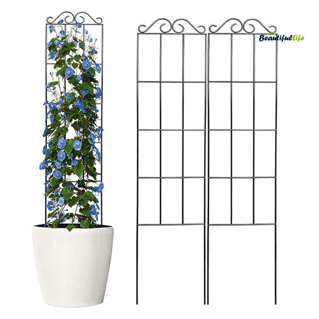 Beautifullife 2Pcs Plant Climbing Rack Easy to Install Plant Support ...