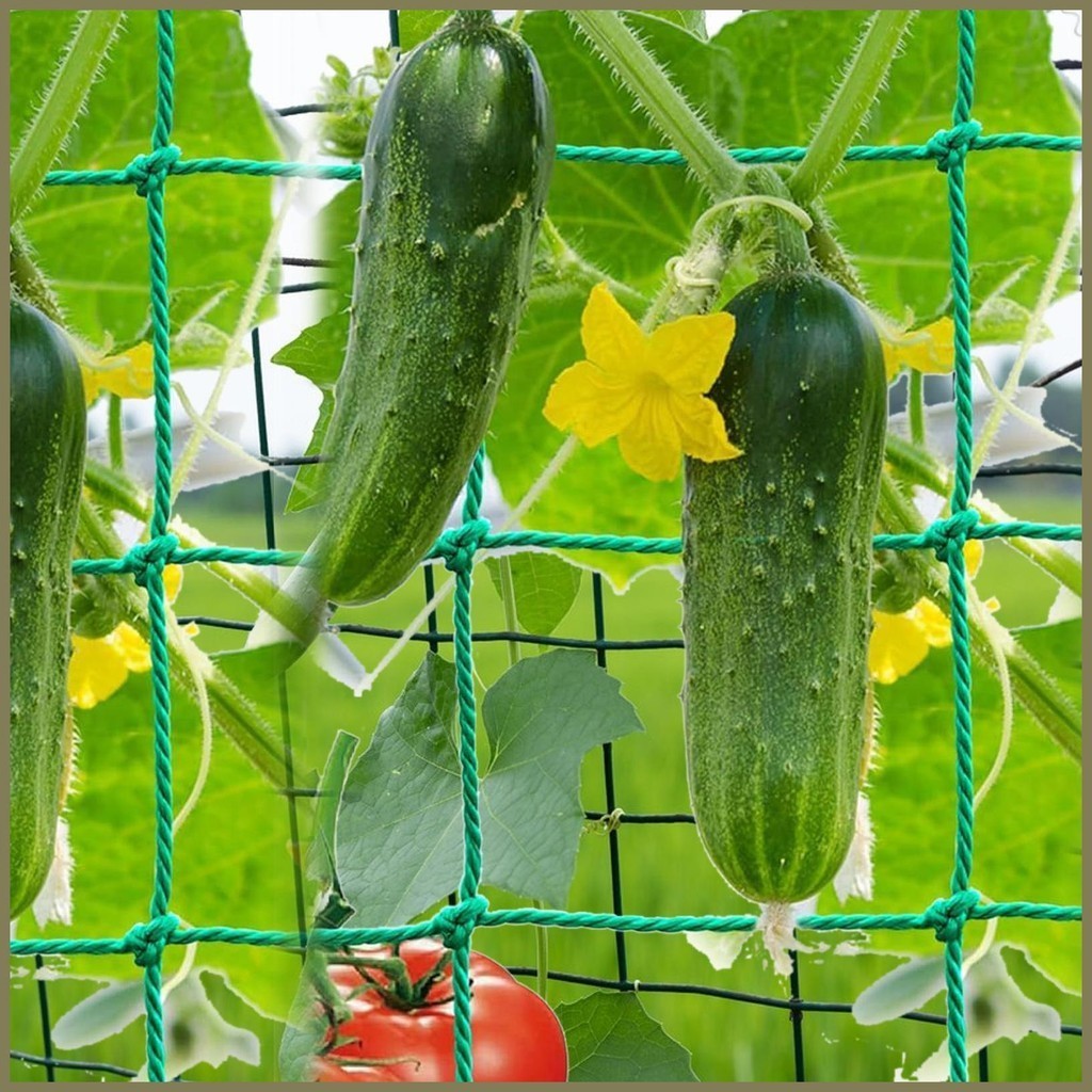 Garden Trellis Net Plant Climbing Net for Vine Support Garden Planting ...