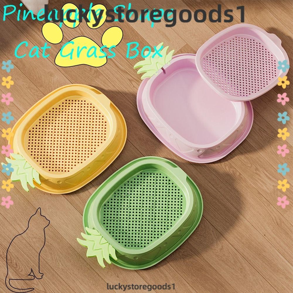 LUCKYSTOREGOODS Cat Grass Planting Box, Sprouting Trays Without seeds