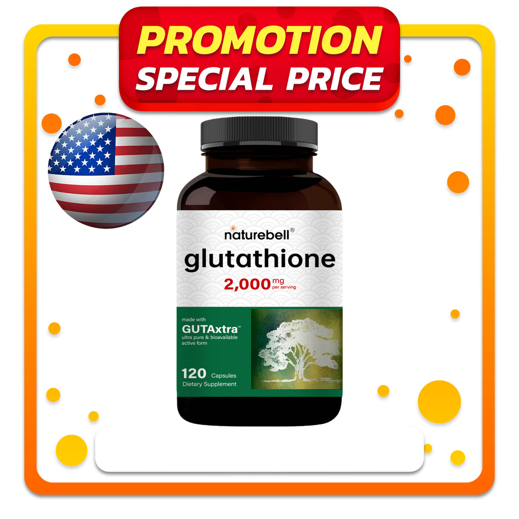 glutathione synthetase antibody Anti-Glutathione Synthetase Antibody (A92968)