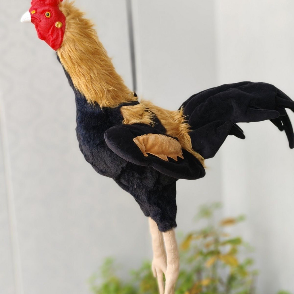 Fighting Chicken Supplies Training Fighting Chicken Model Model Chicken ...