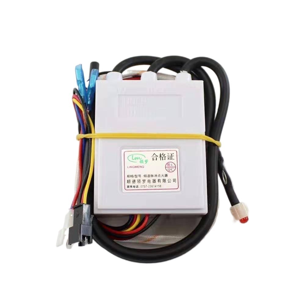COD☆Original Budweiser Changwei gas water heater pulse igniter flue