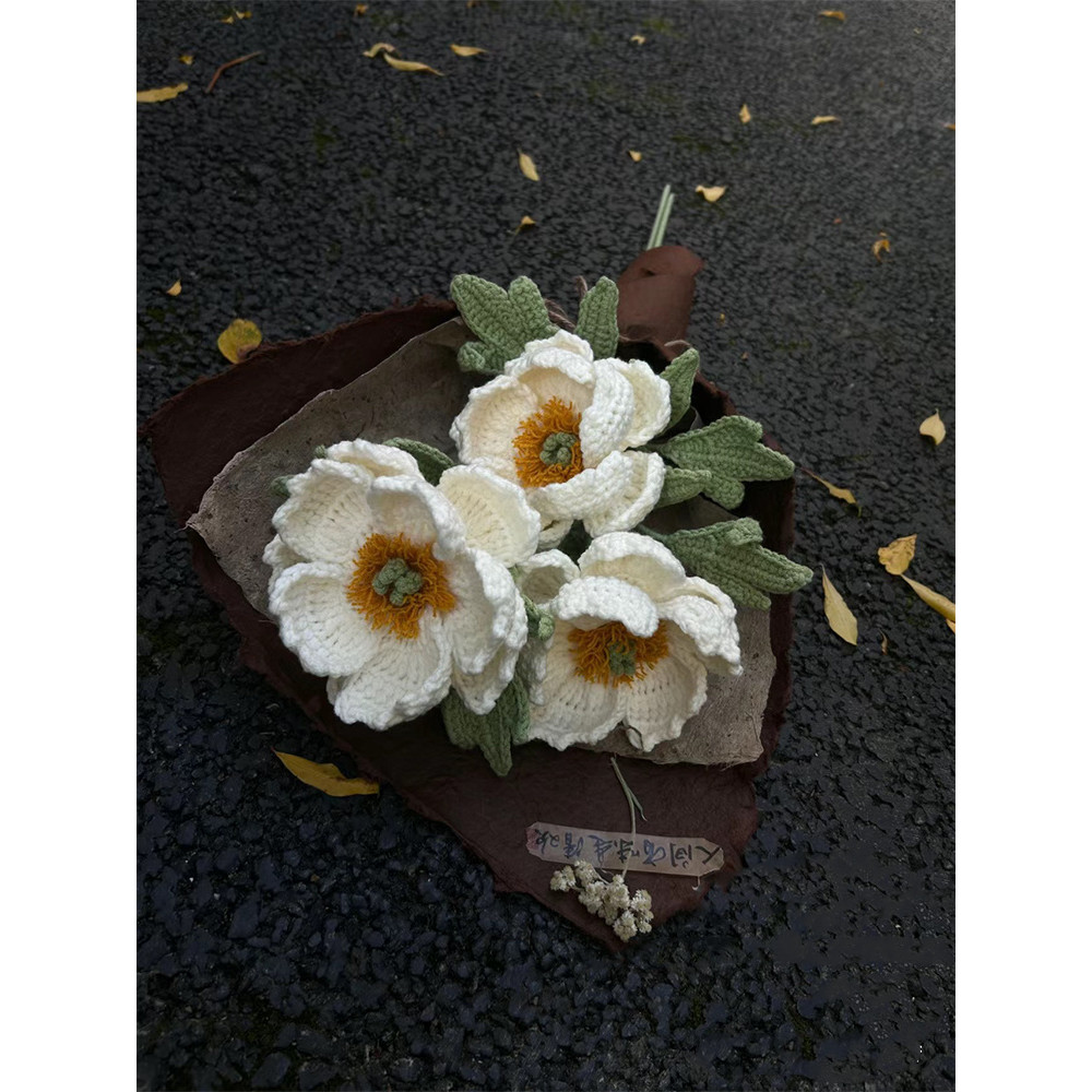 Wool Crochet Peony Flower Knitting diy Material Package Handmade Niche