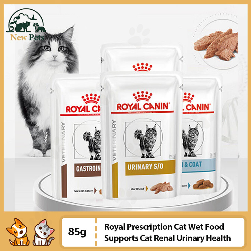A closer look at Urinary Soundness Prescribed For Cats