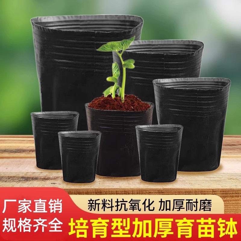 Seedling Nutrient Cup Seedling Bag Large Disposable Flower Pot Black ...