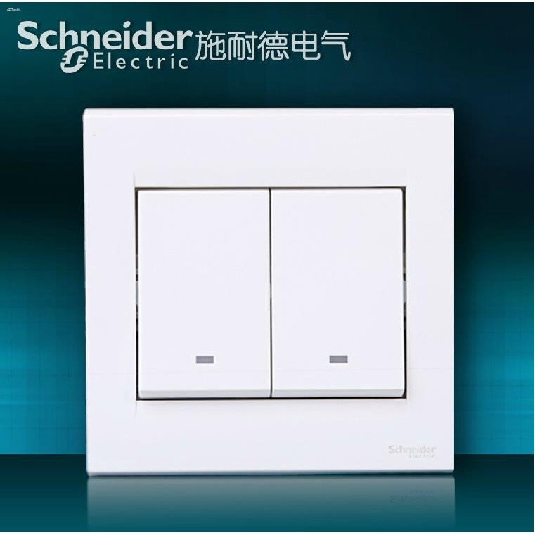 Genuine Schneider switch socket Schneider Ruyi series two open / double