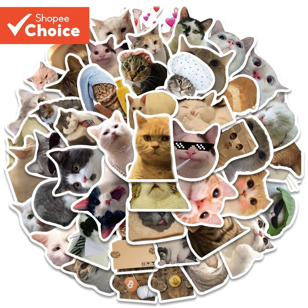 50PCS Funny Cat Meme Stickers For Laptop Skateboards Phone Case Decal ...