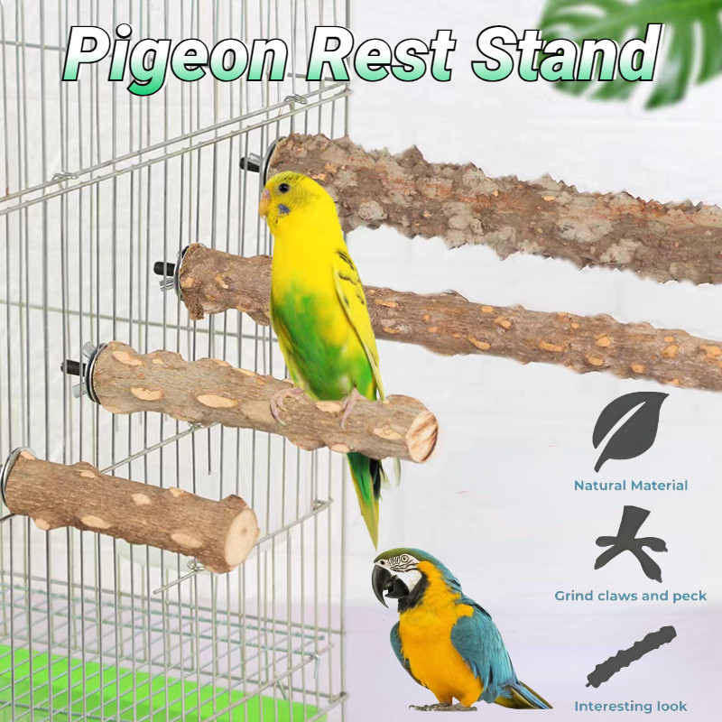 Pigeon Rest Stand Pepper Woodchuck Stand Bird Prickly Ash Wood Perch ...
