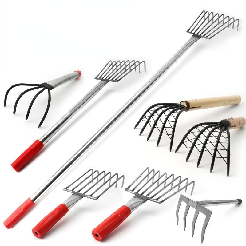 Catch the sea, beach rake, shell clams, digging oysters, crab clams ...