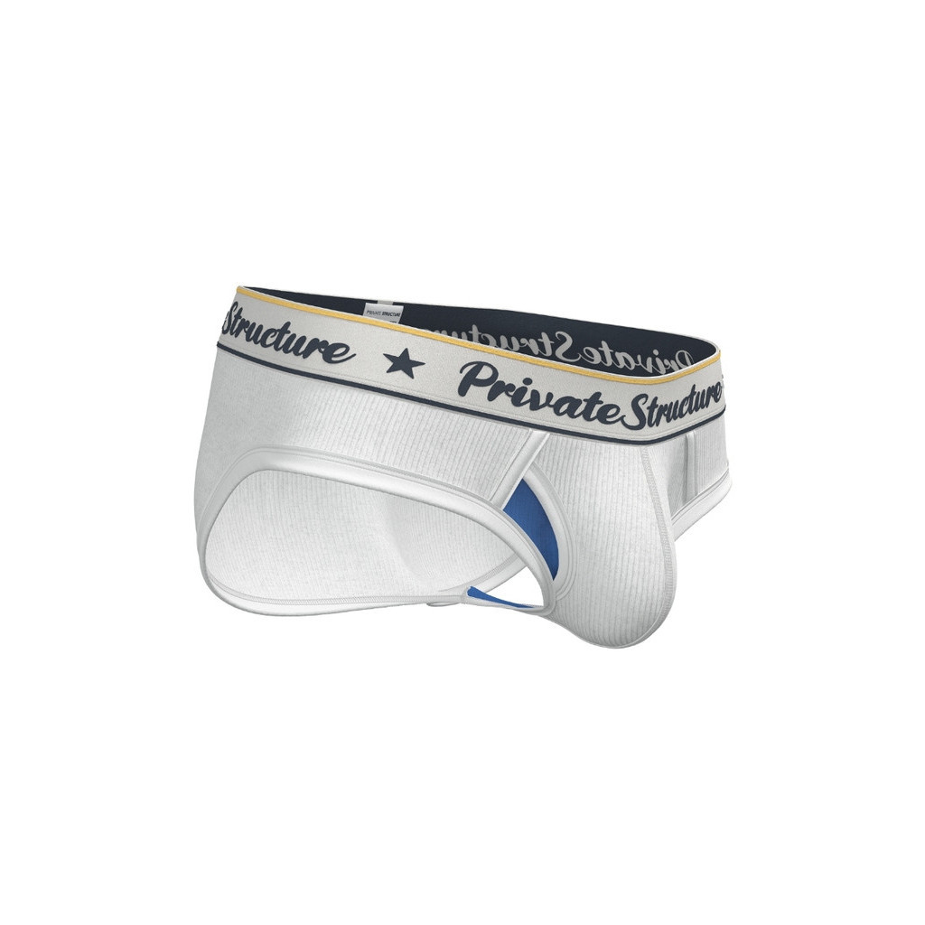 Private Structure Men Underwear Classic Brief - Dew White [4529 ...