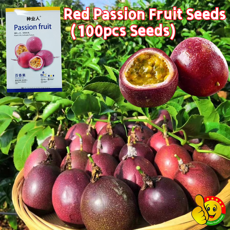 Original Sweet Juicy Red Passion Fruit Seeds 100pcs Dwarf Passion Fruit Plants Seeds Climbing