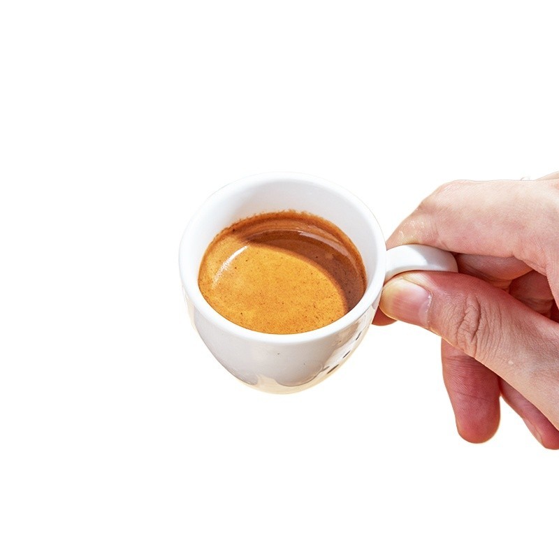 Visual Reference: Cats Cocoa Nut Flavor Concentrated Medium Deep Roasted Coffee Beans