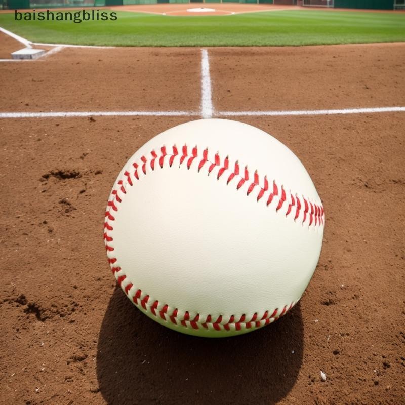 baishangbliss 9 Inches Baseball Hardball Training Balls Baseballs Hard ...