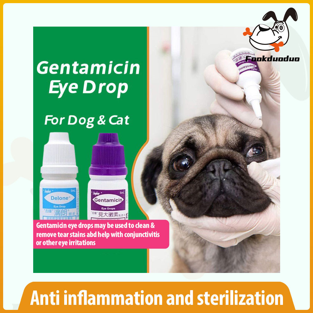 Gentamicin Eye Drops for Dogs Cats Tear Stain Remover Eye Infection COD ...