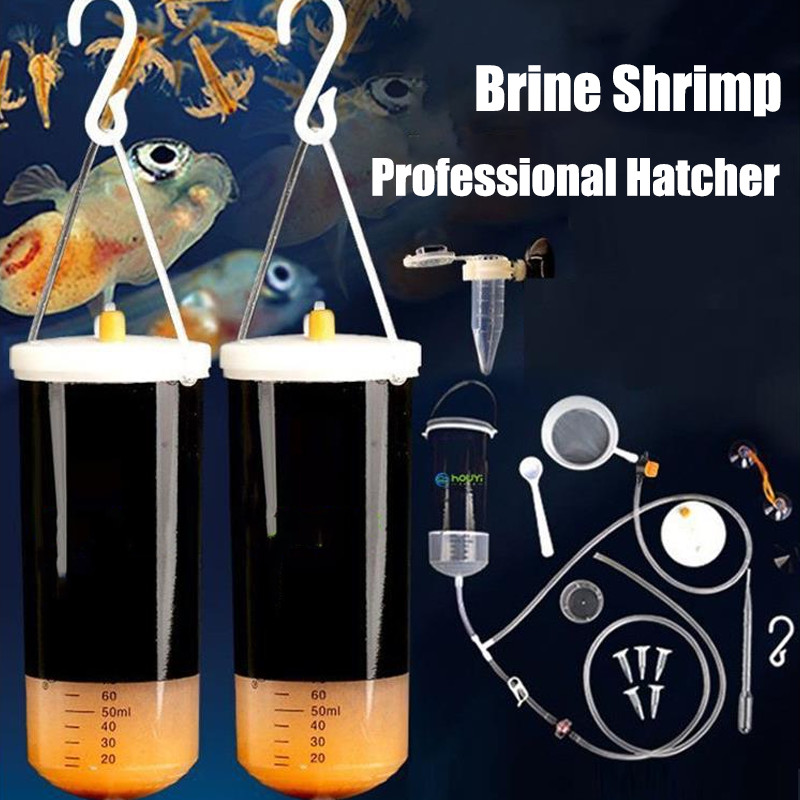 Brine Shrimp Larvae Hatching Kit Suitable For Brine Shrimp Egg Bbs ...