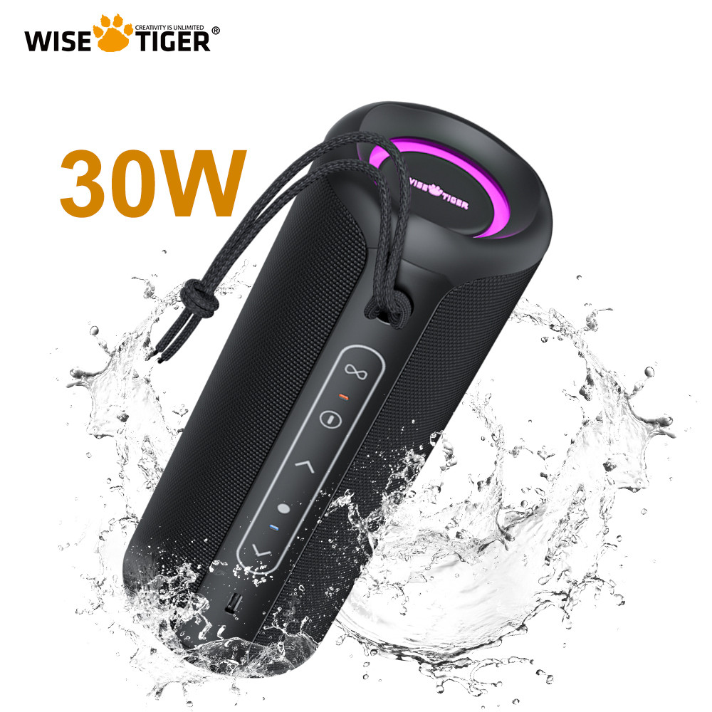 WISETIGER P3 Portable Bluetooth Speaker 30W Outdoor IPX7 Waterproof ...