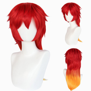 Chika Takiishi Cosplay Wig Anime WIND BREAKER Long Heat Resistant ...