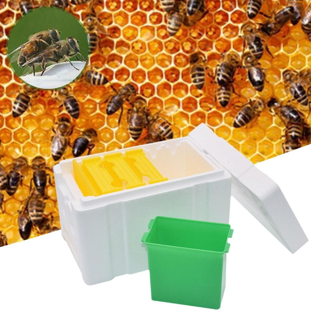 Shop bee hive for Sale on Shopee Philippines