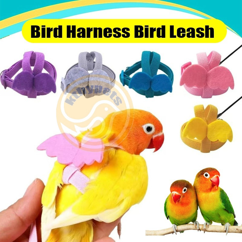 Bird leash Bird Training Rope Pet Parrot Bird Harness and Leash Flying ...