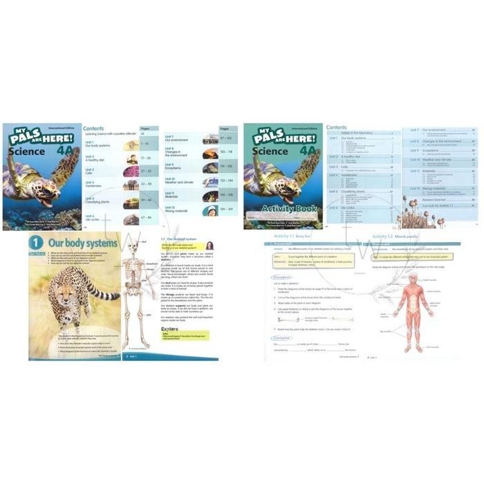 My Pals are Here Science 4A 4B Textbook & Activity Book International ...