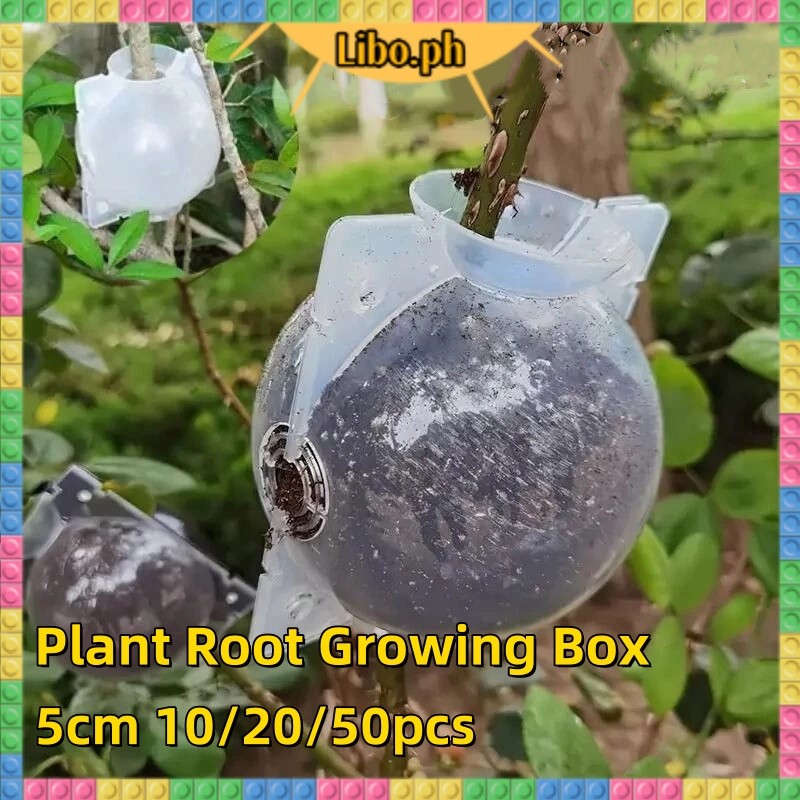 [COD]10/20/50PCS Reusable Plant High Pressure Propagation Ball Rooting ...