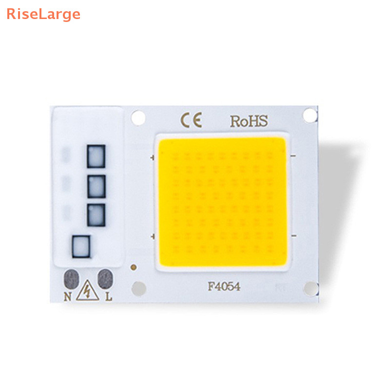 [RiseLarge] LED COB Chip 10W 20W 30W AC 220V 110V Smart IC Without ...