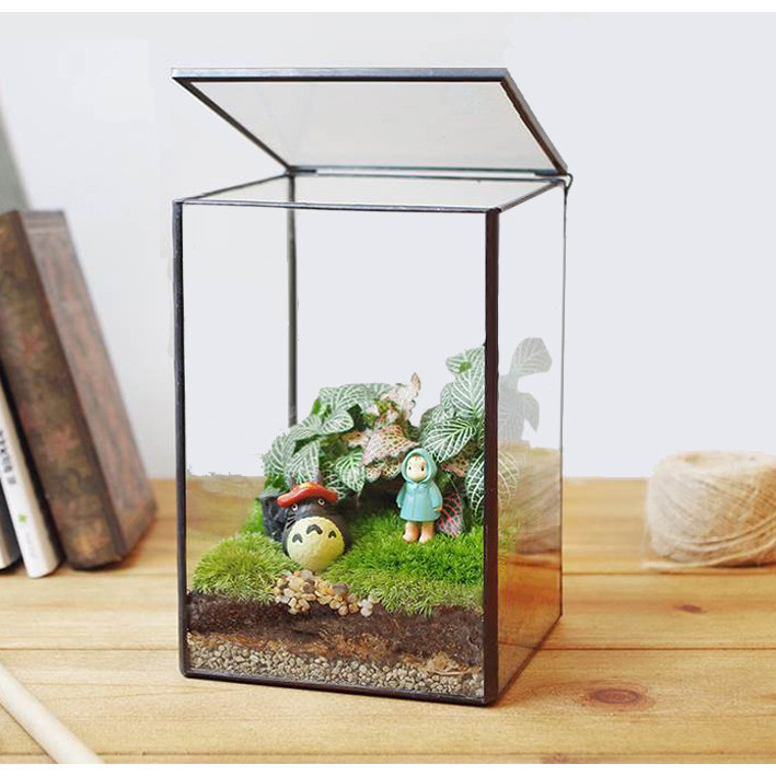 Glass display cover Cube Plant display box Flip function Glass material ...