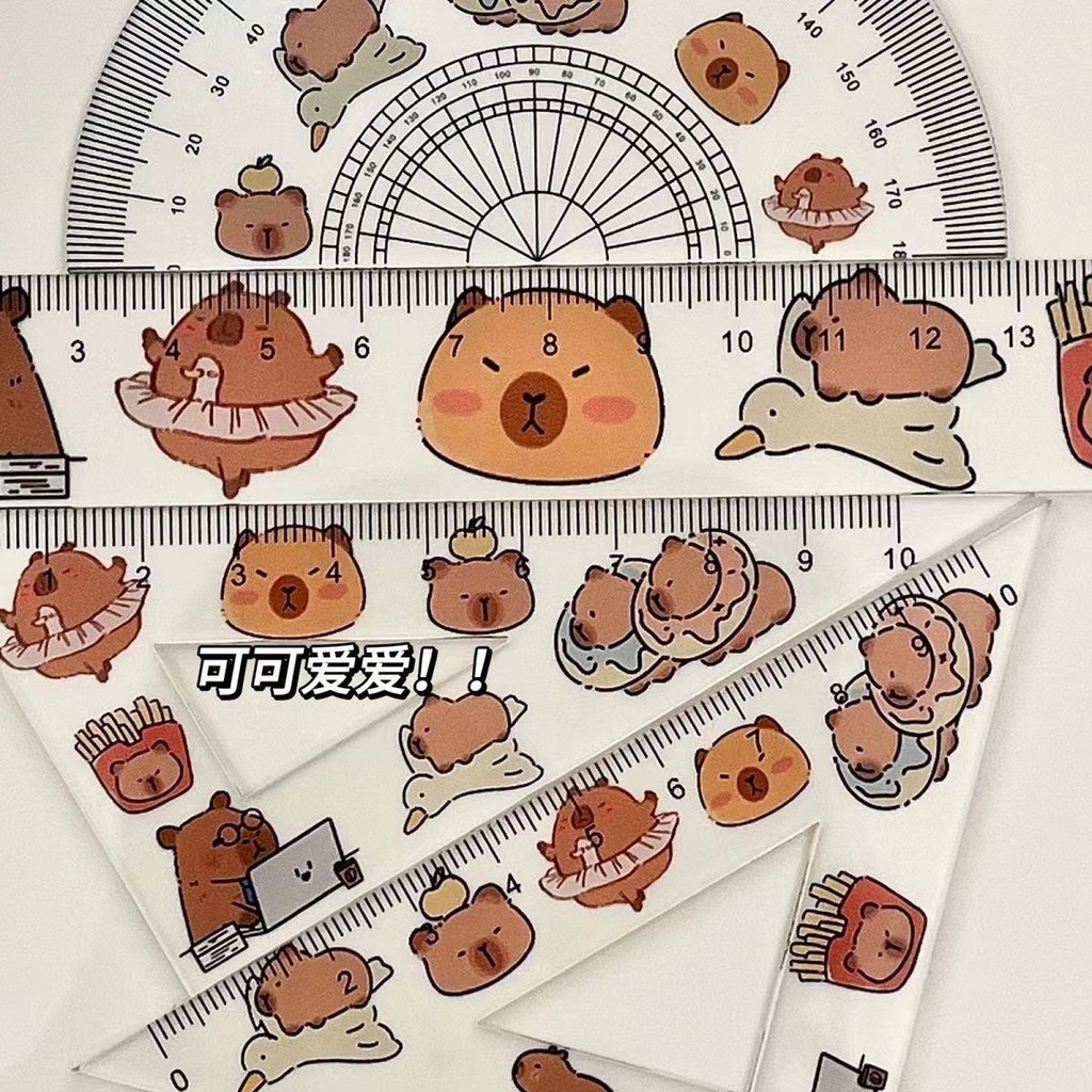 Kapi Barla Cute Transparent Learning Ruler Triangle Ruler Full Set ...