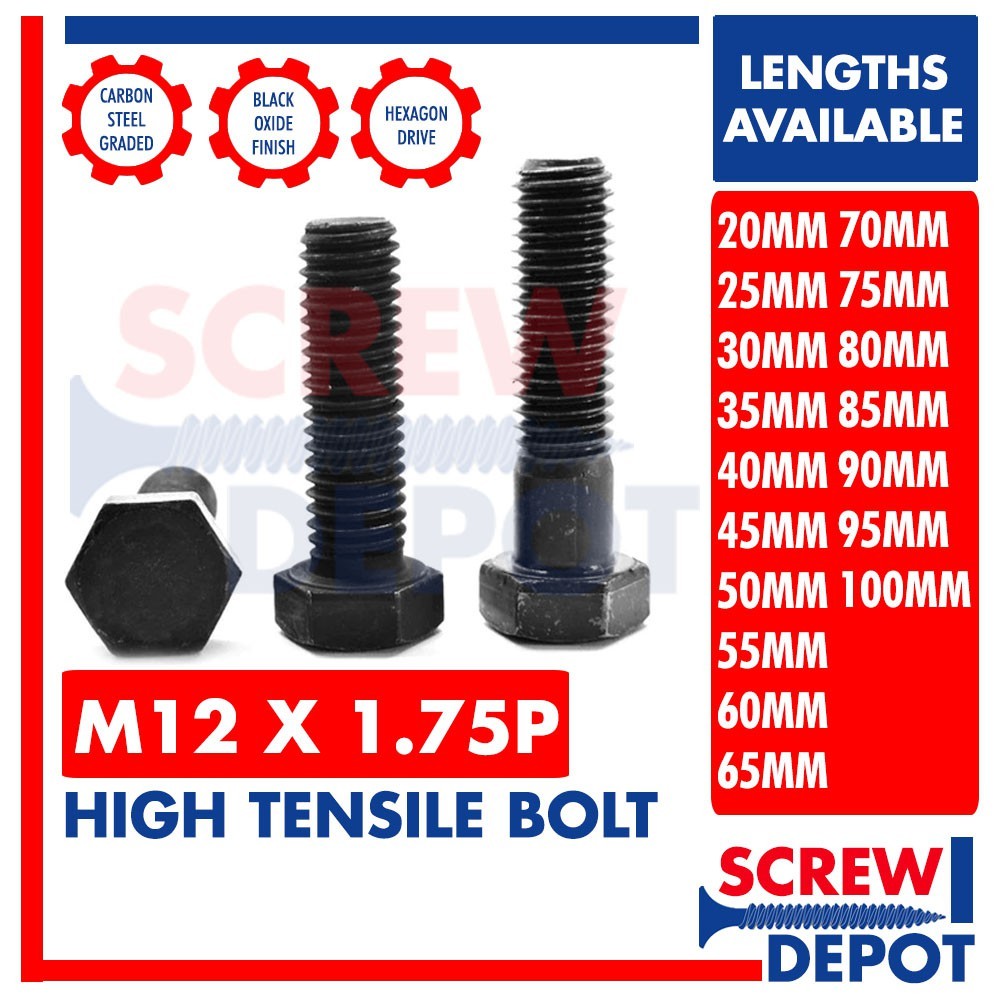 100/50 PCS 12MM High Tensile Hex Bolt or HT Hexagonal Bolt Grade 8.8 ...