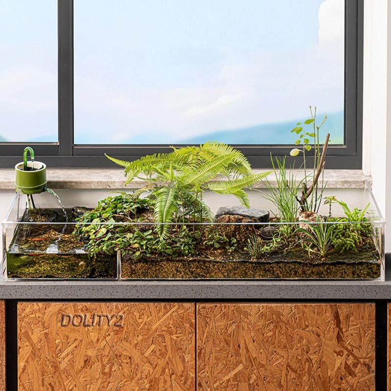 [Dolity2] Turtle Tank Box Amphibians Feeding Box Hideout Sturdy Bottom ...