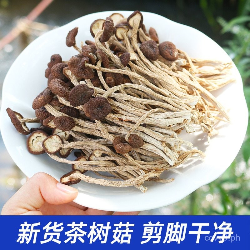 Jiangxi Wild Agrocybe Cylindracea Dry Goods Tea Mushroom Mushroom