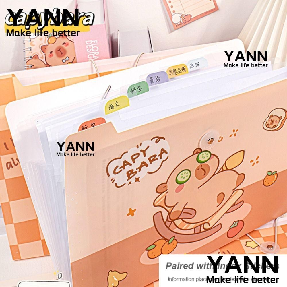 YANN1 A4 File Folder, Capybara Creative Test Paper Storage Folder ...