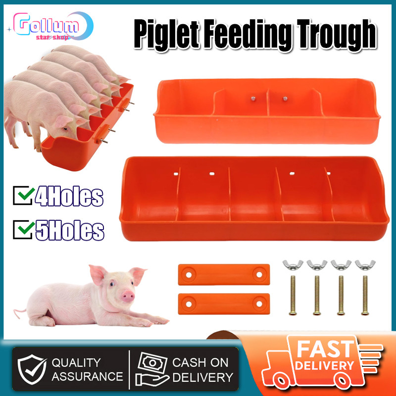 Plastic Piglet Trough Automatic Feeding Five Grids Pig Sow Feeder ...
