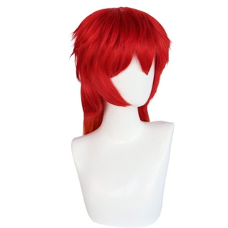 Chika Takiishi Cosplay Wig Anime WIND BREAKER Long Heat Resistant ...