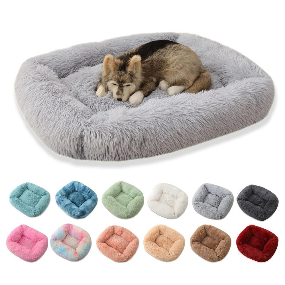 The Cat Mattress Is A Good And Comfortable Bayza Bed, The Material Is