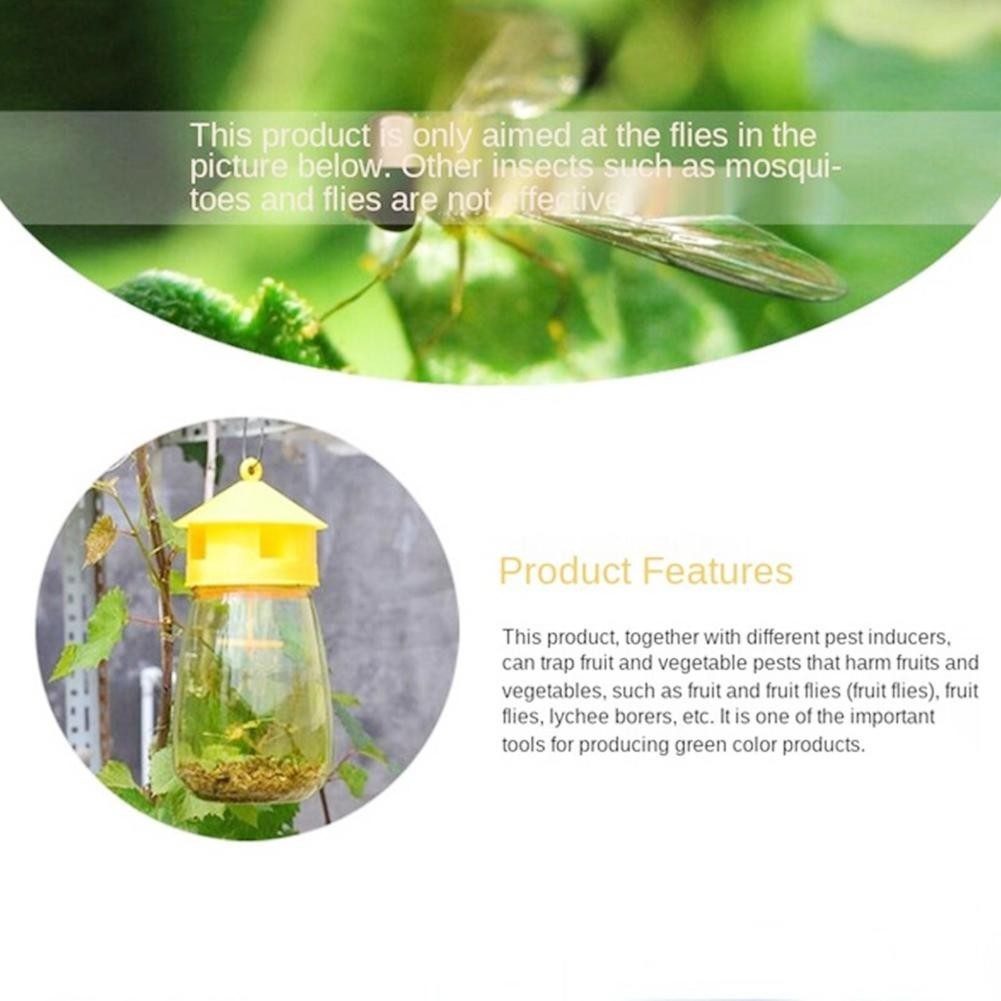 Fruit Insect/Flies Farm Trap Fruit Fly Trap New Four Holes Latest ...