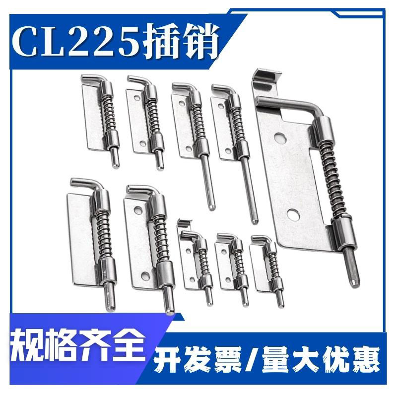 Distribution Cabinet Box CL225Movable Spring Latch Hinge Stainless ...