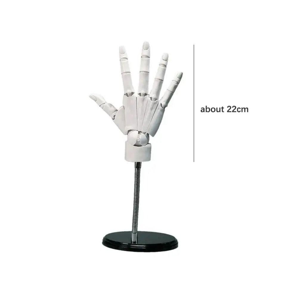 LIXIA Hand Model, Fexible Movable Artist Mannequin Hand Shape, 1:1 PVC ...